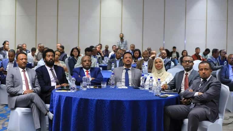 World FZO Weekly News | 24 March 2026