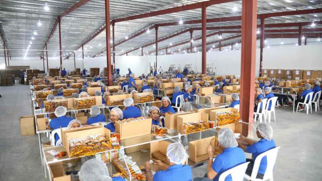 World FZO Weekly News | 3 August 2026